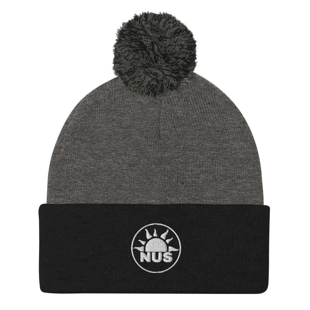 Winter NUS Hat