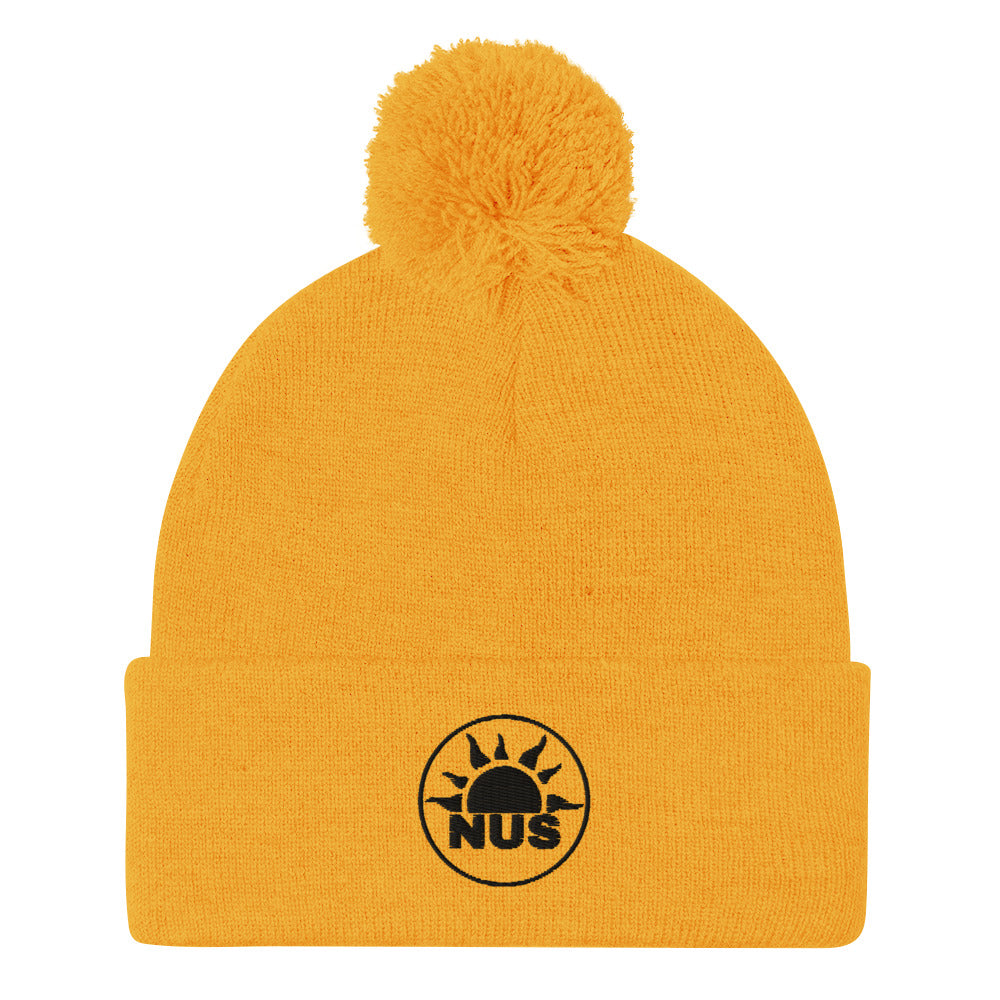 Winter NUS Hat