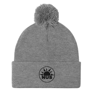 Winter NUS Hat